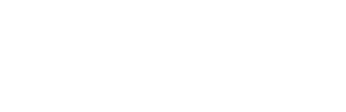 Bigflutedigital Logo